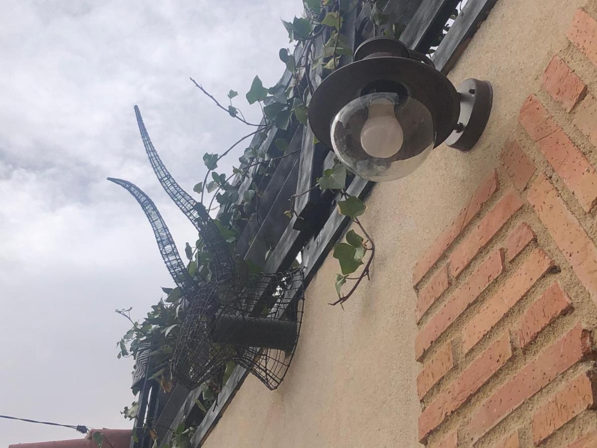 Casa Rural Atelier - Jardin Y Terraza Velliza Exteriér fotografie